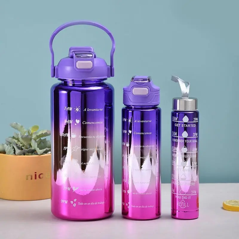 Set of 3 Metallic Color Water Bottle
